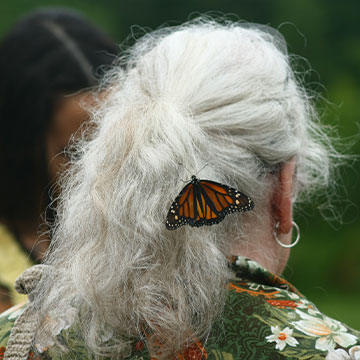 A monarch butterfly landing in a woman's hair. Links to Gifts by Estate Note A monarch butterfly landing in a woman's hair. Links to Gifts by Estate Note